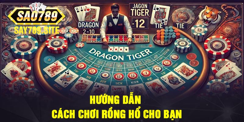 Hướng Dẫn Cách Chơi Rồng Hổ Cho Bạn